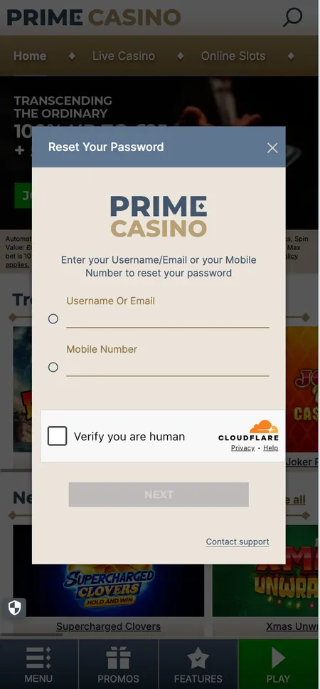 Prime Casino password reset screen